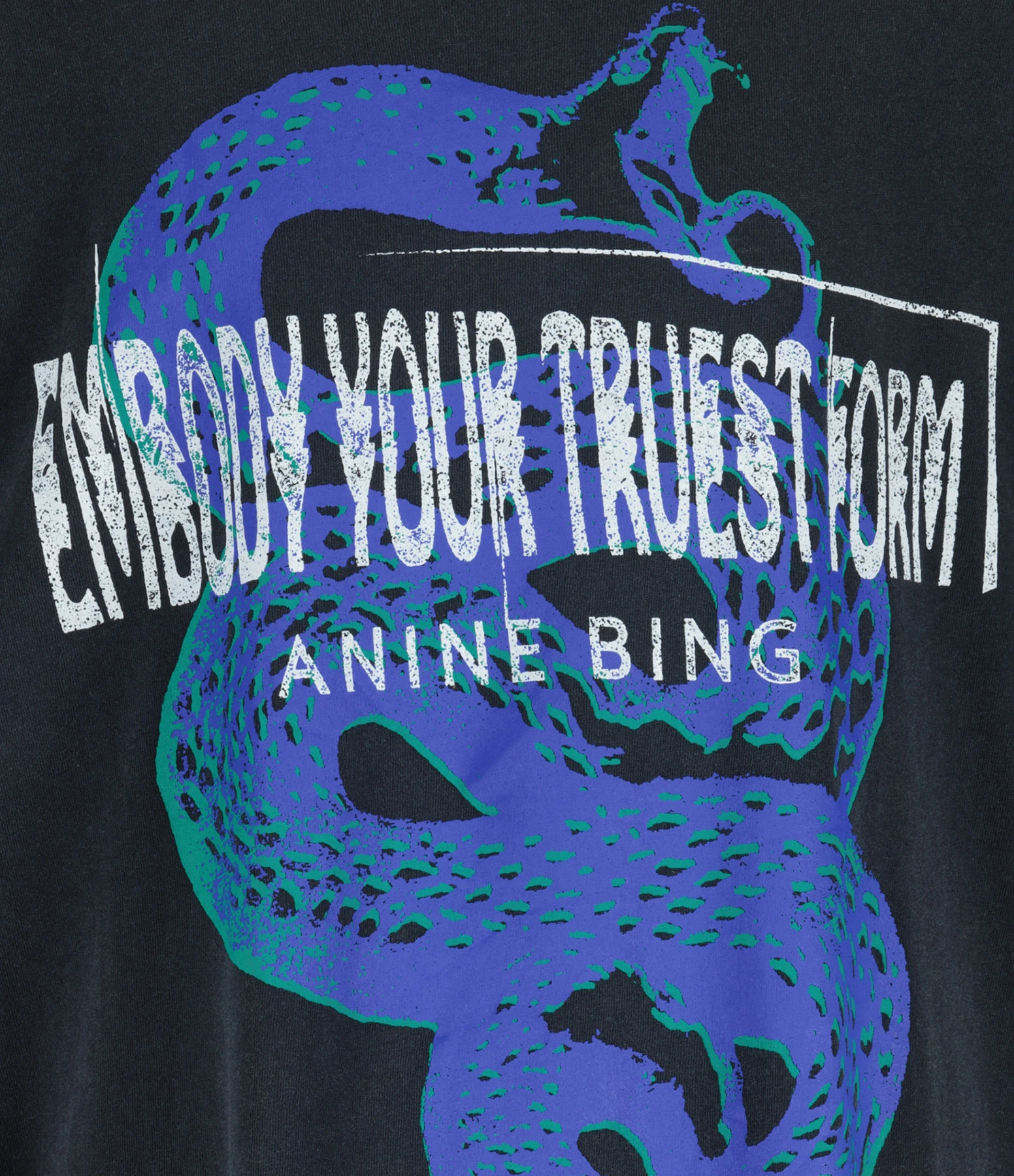 ANINE BING Tee-shirt Walker Coton Noir Délavé 4 ANINE BING Tee-shirt Walker Coton Noir Délavé – Image 2